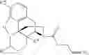 Fig. 233 - Transition metal-catalyzed processes for the preparation of N-allyl compounds and use thereof