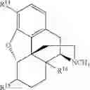 Fig. 237 - Transition metal-catalyzed processes for the preparation of N-allyl compounds and use thereof
