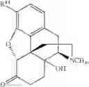 Fig. 238 - Transition metal-catalyzed processes for the preparation of N-allyl compounds and use thereof