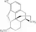 Fig. 239 - Transition metal-catalyzed processes for the preparation of N-allyl compounds and use thereof