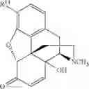Fig. 240 - Transition metal-catalyzed processes for the preparation of N-allyl compounds and use thereof