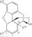 Fig. 242 - Transition metal-catalyzed processes for the preparation of N-allyl compounds and use thereof
