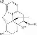 Fig. 244 - Transition metal-catalyzed processes for the preparation of N-allyl compounds and use thereof