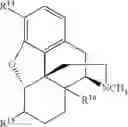 Fig. 255 - Transition metal-catalyzed processes for the preparation of N-allyl compounds and use thereof