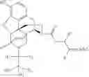 Fig. 281 - Transition metal-catalyzed processes for the preparation of N-allyl compounds and use thereof