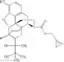 Fig. 297 - Transition metal-catalyzed processes for the preparation of N-allyl compounds and use thereof