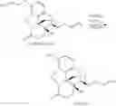 Fig. 327 - Transition metal-catalyzed processes for the preparation of N-allyl compounds and use thereof