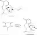Fig. 328 - Transition metal-catalyzed processes for the preparation of N-allyl compounds and use thereof