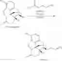 Fig. 329 - Transition metal-catalyzed processes for the preparation of N-allyl compounds and use thereof