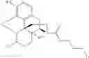 Fig. 72 - Transition metal-catalyzed processes for the preparation of N-allyl compounds and use thereof