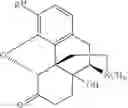 Fig. 75 - Transition metal-catalyzed processes for the preparation of N-allyl compounds and use thereof