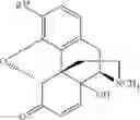 Fig. 77 - Transition metal-catalyzed processes for the preparation of N-allyl compounds and use thereof