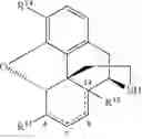 Fig. 79 - Transition metal-catalyzed processes for the preparation of N-allyl compounds and use thereof