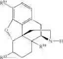 Fig. 81 - Transition metal-catalyzed processes for the preparation of N-allyl compounds and use thereof