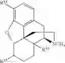 Fig. 92 - Transition metal-catalyzed processes for the preparation of N-allyl compounds and use thereof