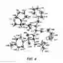 Fig. 05 - Pseudopolymorphic Forms Of A HIV Protease Inhibitor