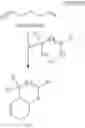 Fig. 12 - Antimicrobial compounds