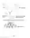 Fig. 02 - MITOCHONDRIA-TARGETED THERANOSTIC AGENTS