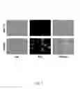Fig. 14 - MITOCHONDRIA-TARGETED THERANOSTIC AGENTS