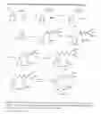 Fig. 02 - Mannose-receptor selective lysinylated cationic amphiphiles and a process for preparation thereof