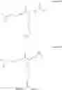 Fig. 22 - Mannose-receptor selective lysinylated cationic amphiphiles and a process for preparation thereof