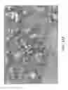 Fig. 33 - Preparations of hydrophobic therapeutic agents, methods of manufacture and use thereof
