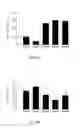 Fig. 13 - Method for treating or preventing liver related diseases