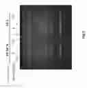 Fig. 06 - Sequence of nucleotides and peptides GSE 24.2 of dyskerin, which can induce telomerase activity, method for obtaining same, therapeutic compositions and applications thereof