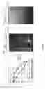 Fig. 07 - Sequence of nucleotides and peptides GSE 24.2 of dyskerin, which can induce telomerase activity, method for obtaining same, therapeutic compositions and applications thereof