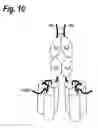 Fig. 11 - Single-chain trail-receptor agonist proteins