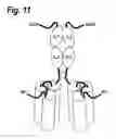 Fig. 12 - Single-chain trail-receptor agonist proteins