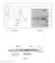 Fig. 03 - Double Mutant Coagulation Factor VIII and Methods Thereof