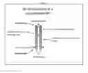 Fig. 06 - Compositions and methods for growth factor modulation