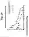 Fig. 25 - Antibodies to IL-6 and use thereof
