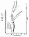 Fig. 33 - Antibodies to IL-6 and use thereof