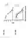 Fig. 07 - Antagonistic human light-specific human monoclonal antibodies