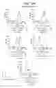 Fig. 13 - Antagonistic human light-specific human monoclonal antibodies