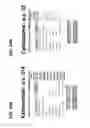 Fig. 34 - Antagonistic human light-specific human monoclonal antibodies