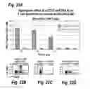 Fig. 24 - Antibodies that bind human CD27 and uses thereof