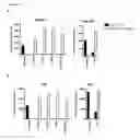 Fig. 13 - Inert format