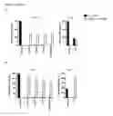 Fig. 14 - Inert format