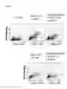Fig. 13 - Compositions and methods for treating and diagnosing cancer