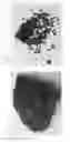 Fig. 13 - Oligomerization processes and polymer compositions produced therefrom