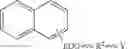 Fig. 06 - Synthesis of functional polyisobutylene-containing oligomers and polymers