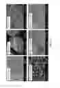 Fig. 03 - Particulate amine-functionalized polyaryletherketone polymer and copolymers thereof