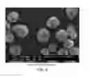 Fig. 04 - Particulate amine-functionalized polyaryletherketone polymer and copolymers thereof