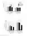 Fig. 05 - MULTIFUNCTIONAL TUNABLE BIOMATERIALS FOR TISSUE ENGINEERING