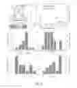 Fig. 17 - Functional inks based on layered materials and printed layered materials