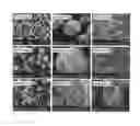 Fig. 01 - Functionalized polymer particles for use as toughening agent
