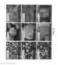 Fig. 03 - Functionalized polymer particles for use as toughening agent